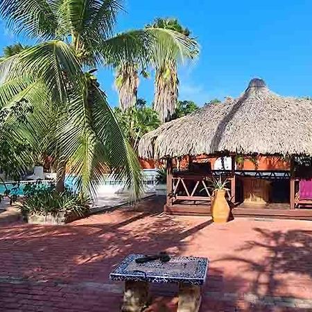 Woodstock Palmresort Curacao วิลเลมสตัด ภายนอก รูปภาพ