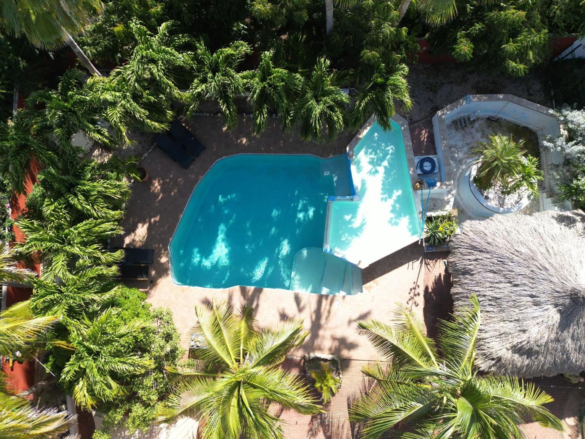 Woodstock Palmresort Curacao วิลเลมสตัด ภายนอก รูปภาพ