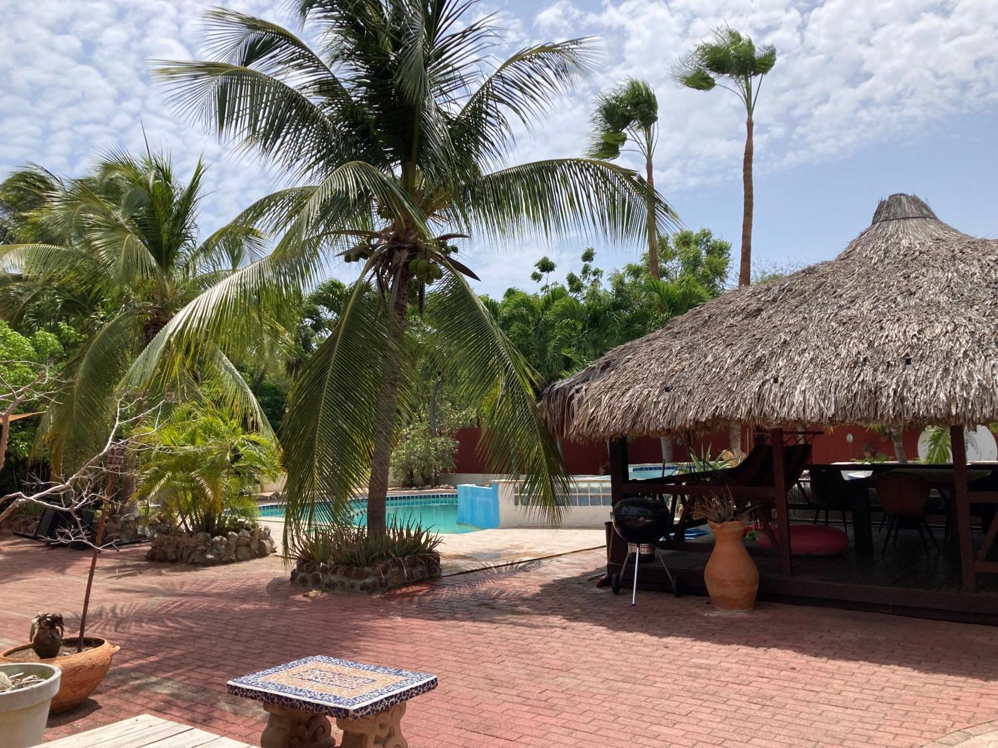Woodstock Palmresort Curacao วิลเลมสตัด ภายนอก รูปภาพ